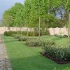 Aanleg gehele tuin nieuwbouw, Someren